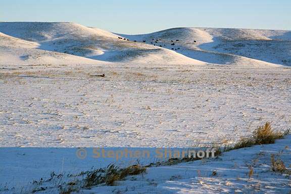 snowy landscape south dakota 4 graphic